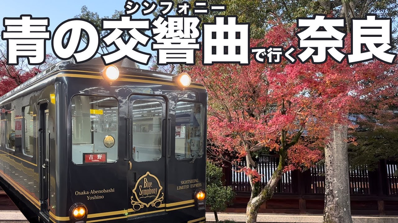 青の交響曲で行く！秋の奈良。大阪阿部野橋から橿原神宮前まで近鉄特急 
