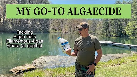 Cutrine Plus - My Go To Algaecide (4 acre pond) This Stuff Works Great!!!