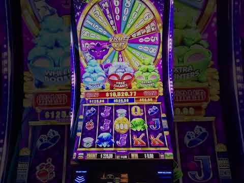 επαληθευμένο Baloo Casino μπόνους vip εικόνα στην Greece