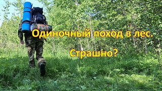 Одиночный поход в лес. Страшно? / A single hike in the forest. Scared? 4K GoPro 11