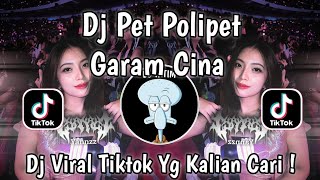 DJ PET POLIPET GARAM CINA X MAGIC VOICE REMIX MENGKANE VIRAL TIKTOK TERBARU 2025 !
