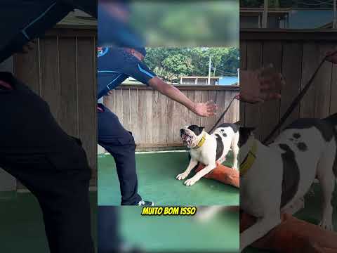 Hanna mostrando toda sua beleza e seu sorriso 😍☠️