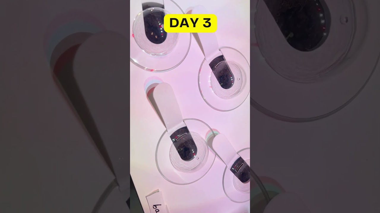 My First Two Weeks with the Smart Garden 27 from Click And Grow