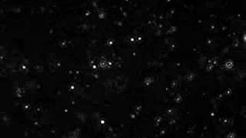 Nanoparticle Aggregation 1