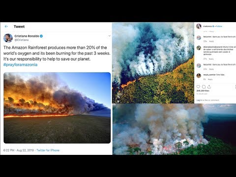 Video: Latin Celebs Reagerer På Amazon Rainforest Fire