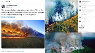 Celebrities like cristiano ronaldo, madonna and leonardo dicaprio have
shared pictures of what they believed to be the amazon rainforest
fires. in reality so...