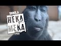 100 KILA - NEKA DA MEKA