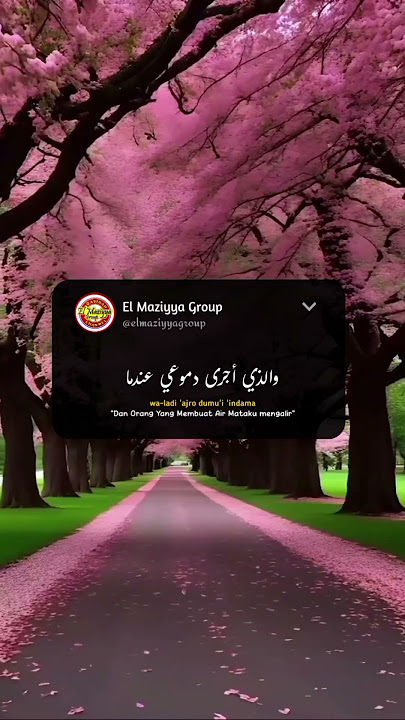 Wa Tarumma Fihi Min'aibin Terjemahan #WaTarummaFihi Min'aibin #arabicsong #laguarabviral