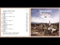 W A Mozart Symphony No 10 In G Major K 74 I Allegro mp3