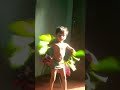 പച്ചില ഡാൻസ് # കുഞ്ഞാറ്റ