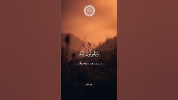 #تلاوات_مطرف_المطرف #ايات_قرانيه_قصيره #اكسبلور #راحة_نفسية #سورة_القلم #السعودية #تلاوة_خاشعة