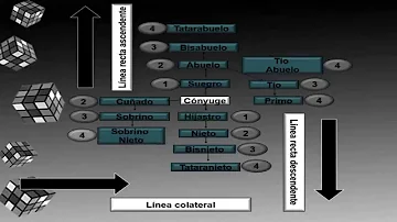 ¿Los primos terceros son parientes consanguíneos?