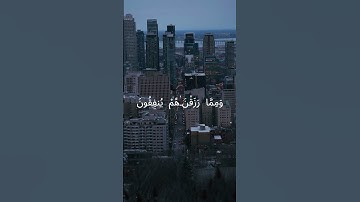 تلاوة سورة البقرة | الٓمٓ