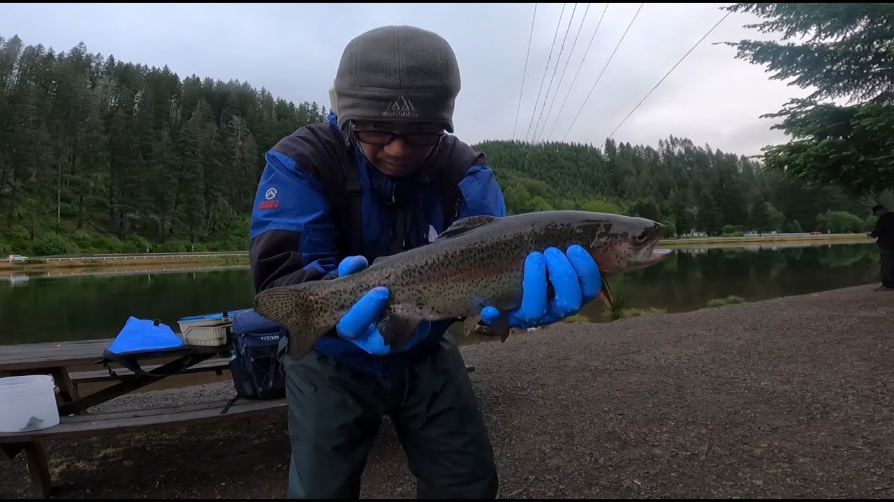 Ловля форели с берега — рыболовная снасть Powerbait