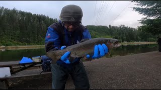 Bank Fishing For Stocked Trout -  Powerbait Fishing Setup