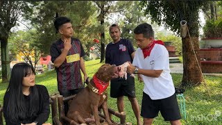 DATANG DARI BANGKA BELITUNG HANYA UNTUK KETEMU FLOKI DAN MUSSO ‼️