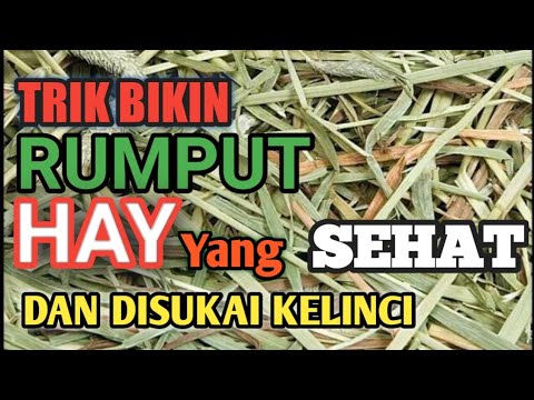 Video: Apa itu rumput kering?