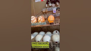 Ostrich eggs , turn into lamp 🪔 #ostrichegg #art