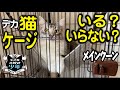 【メインクーン】猫のケージ必要？不要？トイレやエサ場所の移動