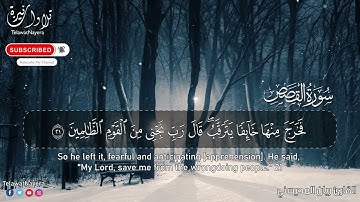 قَالَ مَا خَطۡبُكُمَاۖ~تلاوة خاشعة للقارئ ريان المحيسني |من سورة القصص ارح سمعك 😴🎧🤍