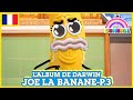 L'album de Darwin 🇫🇷 | Joe la Banane, Partie 3 - Une quête hilarante pour la photo parfaite!