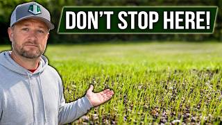Your Grass Germinated… Now Comes the Important Part