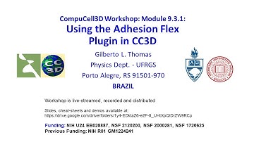 CompuCell3D WS Module 9.3.2 Adhesion Flex [Gilberto Thomas] August 11 2023