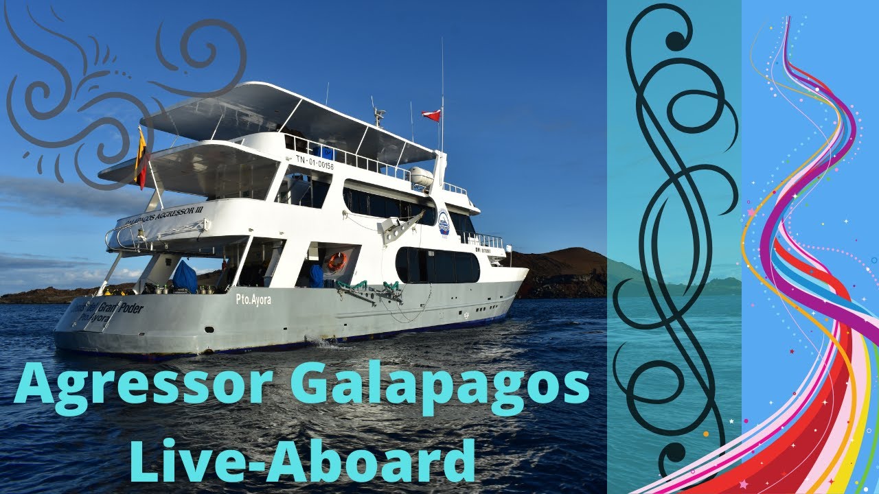 Galapagos Aggressor Live Aboard | Video courtesy of the Crew￼ | Worth every penny spent