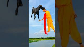 Goat save me 🥰#funny #video #shorts #viralvideo #trendingshorts #shortsfeed