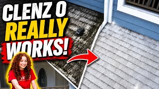 Cleanz02 soft washing roofing siding concrete and wood  screenshot 2