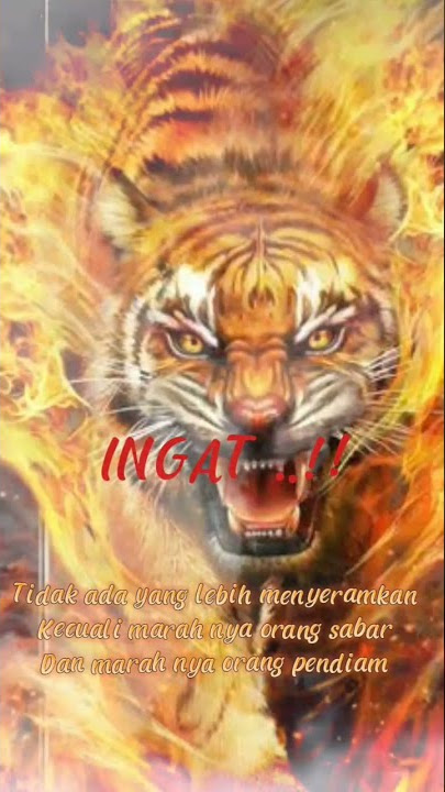 story'wa Khodam macan #storywa #khodam #macan