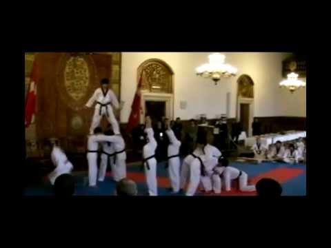 태권도 WTF시범단 2009 덴마크 세계태권도선수권대회WorldTaekwondoFederation