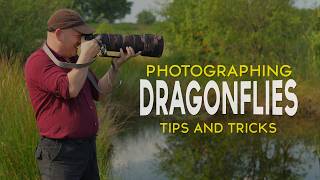 Sony A1 Dragonfly Photography: Pro Tips & Tricks for Capturing Stunning Shots screenshot 3