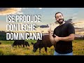 ¿Cómo se produce la Carnation? La leche evaporada por excelencia de los dominicanos.