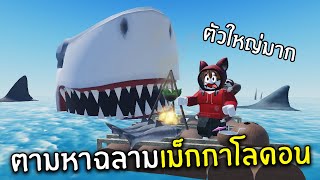 ตามหาฉลามเม็กกาโลดอน | Roblox