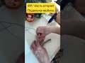 Мобиль из дрифтвуд Часть 2 #diy