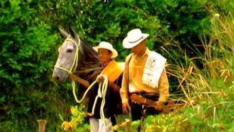 Vamos Pal Campo.Sonora matancera