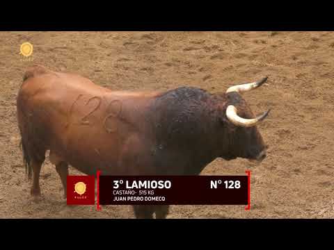 Orden de lidia de los toros de Juan Pedro Domecq