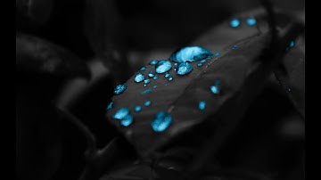 Berghain techno set june 2019 - C. Dottori