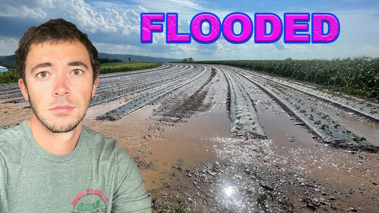 Horrible Storm Hits Our Farm - YouTube