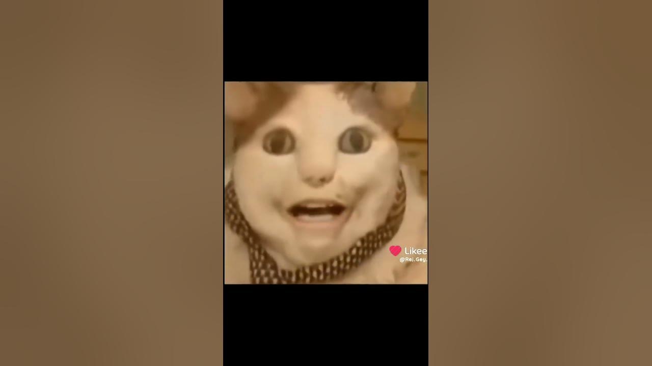 Буу испугался - YouTube