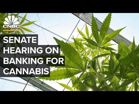 Senate hearing on cannabis industry and banking challenges – 07/23/2019 thumbnail
