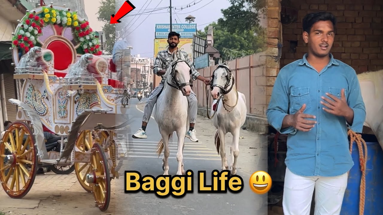 🐎Ghode Baggi Wale ki life  kaisi Hoti Hai aaj  Dekh Lo😃