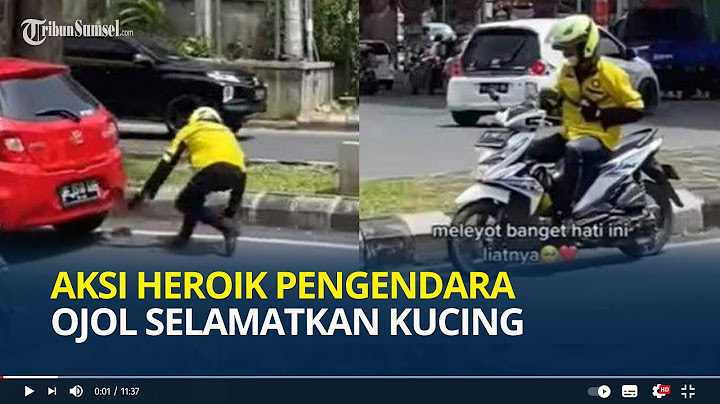 Aksi Heroik Pengendara Ojol Selamatkan Kucing Berlari Tengah Jalan, Tuai Pujian