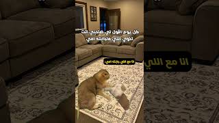 من كذا هو و أخوه  إذا عجبك المحتوى لا تنسى تتابعنا    ميمز  ميمز ضحك  اخي               سمعها