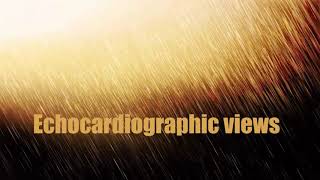 Trans-Thoracic Echo Views For Beginners Dr Mohamed Abdebasit شرح ايكو للمبتددئين