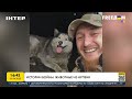 Истории войны: животные из Ирпеня | FREEДОМ - UATV Channel