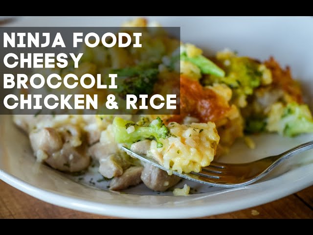 Crock Pot Teriyaki Chicken (Ninja Foodi Recipe) - Mommy Hates Cooking