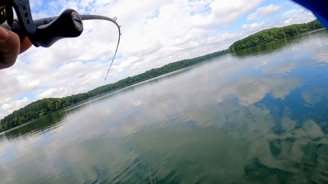 Memorable Swimbait Moments while Exploring Vol. 1