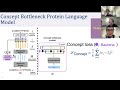 Concept Bottleneck Language Models for Protein Design